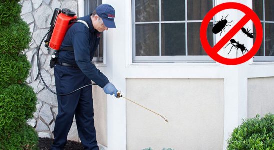 Köşk Kene İlaçlama böcek ilaçlama ve haşere kontrolü — ilaclama-tr.com
